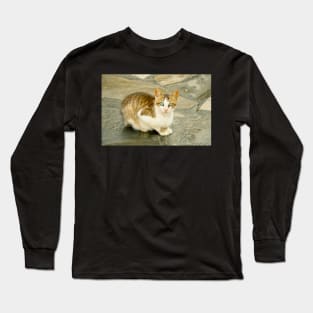 Blue-eyed cat Long Sleeve T-Shirt